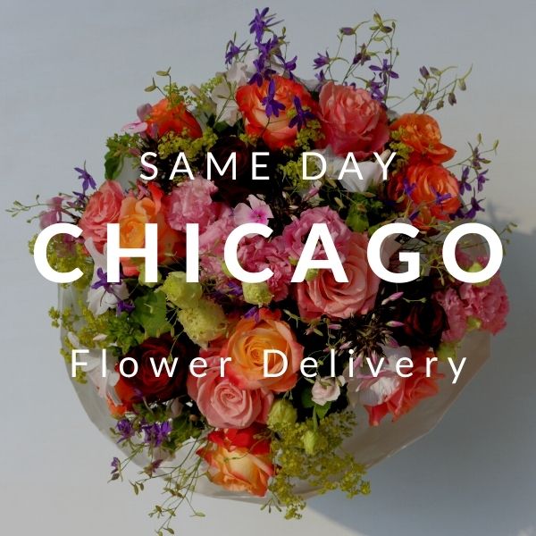 24blooms Same Day Flower Delivery Chicago