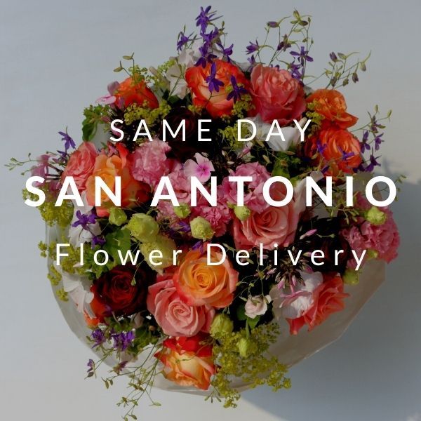 Same Day Flower Delivery San Antonio Texas Best Flower Site 9071